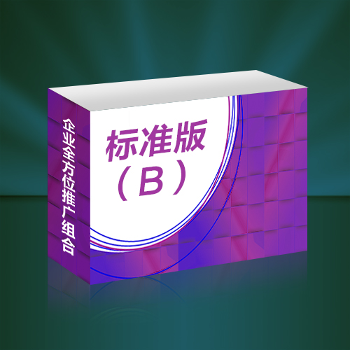 企业全方位推广营销组合标准版（B）